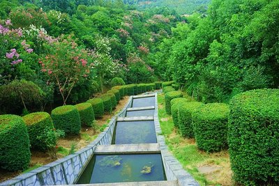 邵阳市花--紫薇扮靓