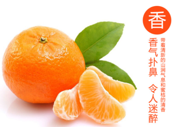 【邵阳红 洞口】农家土特产品雪峰蜜桔