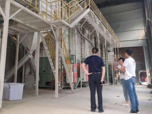 隆平数科助力 邵阳红 品牌发展壮大