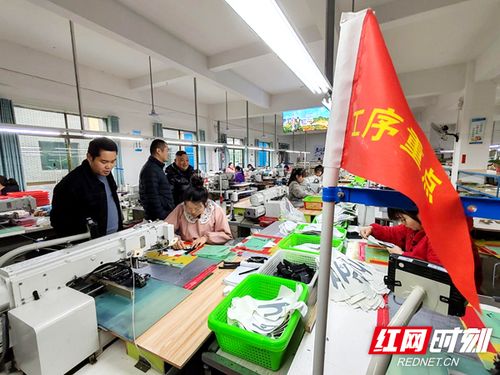 湖南新宁 送解优 全链护航企业复工复产实现 开门红