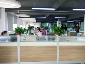 邵阳拓新电子产品有限责任公司招聘信息 公司前景 规模 待遇怎么样