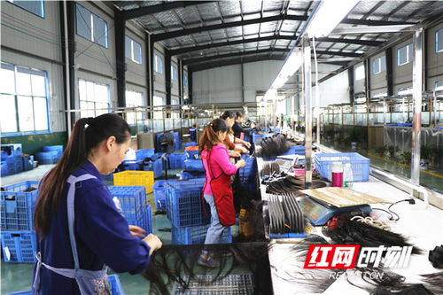 三湘情 建行心丨激活一个产业 带富一方百姓