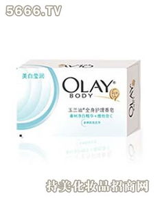 宝泰日用品 品牌介绍 可以加盟吗